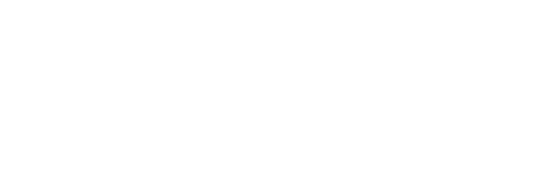 Logo Elektrotechnik Leppich weiss